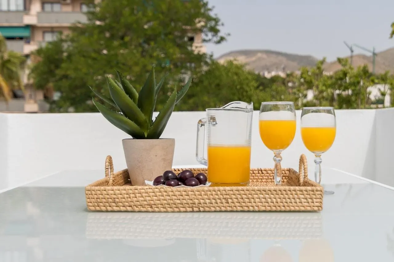Apartamento iloftmalaga Ático Carihuela Torremolinos España